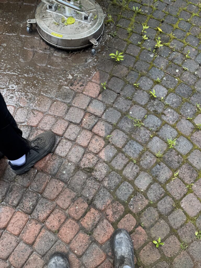 img 3637